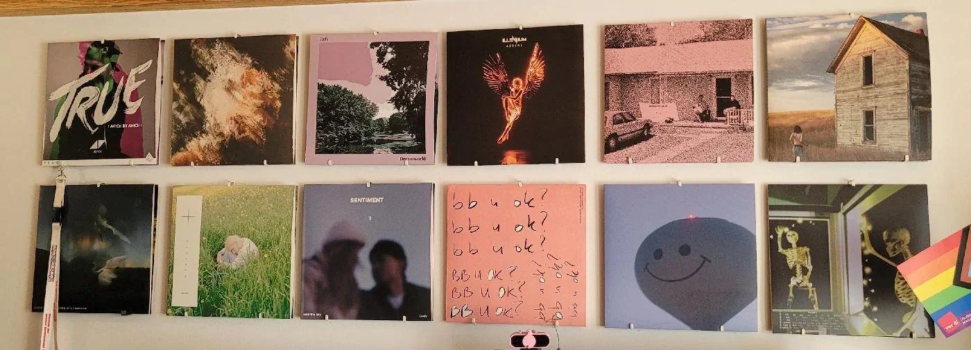 Vinyl record sleeves displayed on a wall